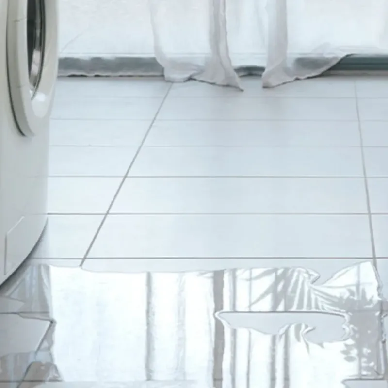 Appliance Leak Cleanup in Burleson County, TX