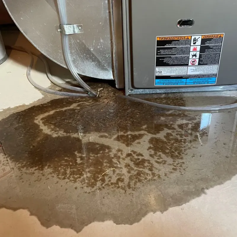 Pipe Burst and Leak Restoration in Burleson County, TX