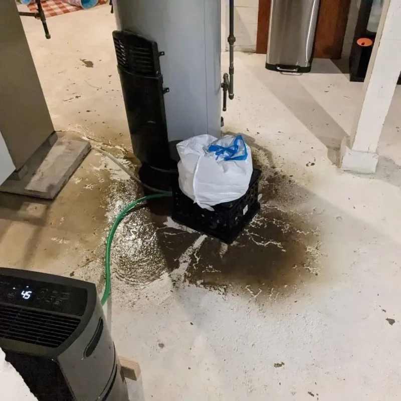 Sewage Backup Cleanup Service in Burleson County, TX